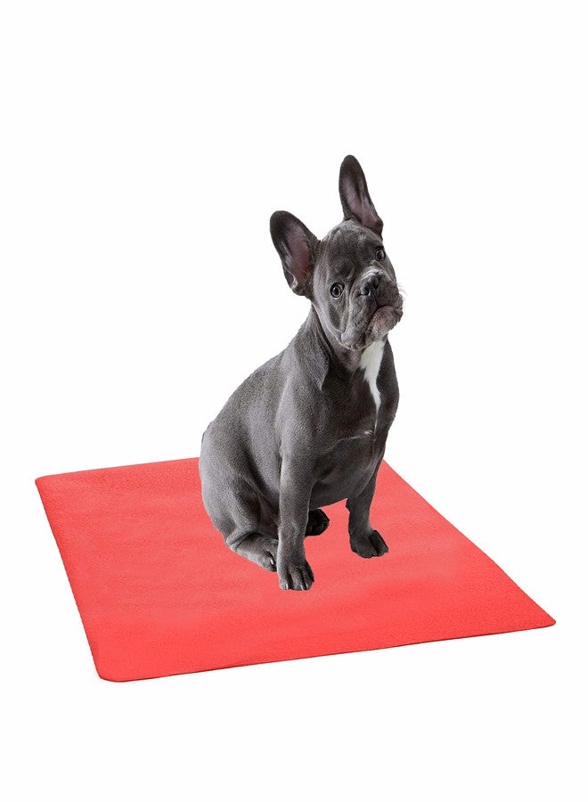 Trance Waterproof Pet Training Pads | Reusable Pee Pad for Dogs Cats Puppy and Pets | Washable Pet Dry Sheet | Potty Trainer | Soft and Hypo-Allergenic (Large, Size 1.4 x 1 m | 140 x 100 Cms, Coral) - Image 1